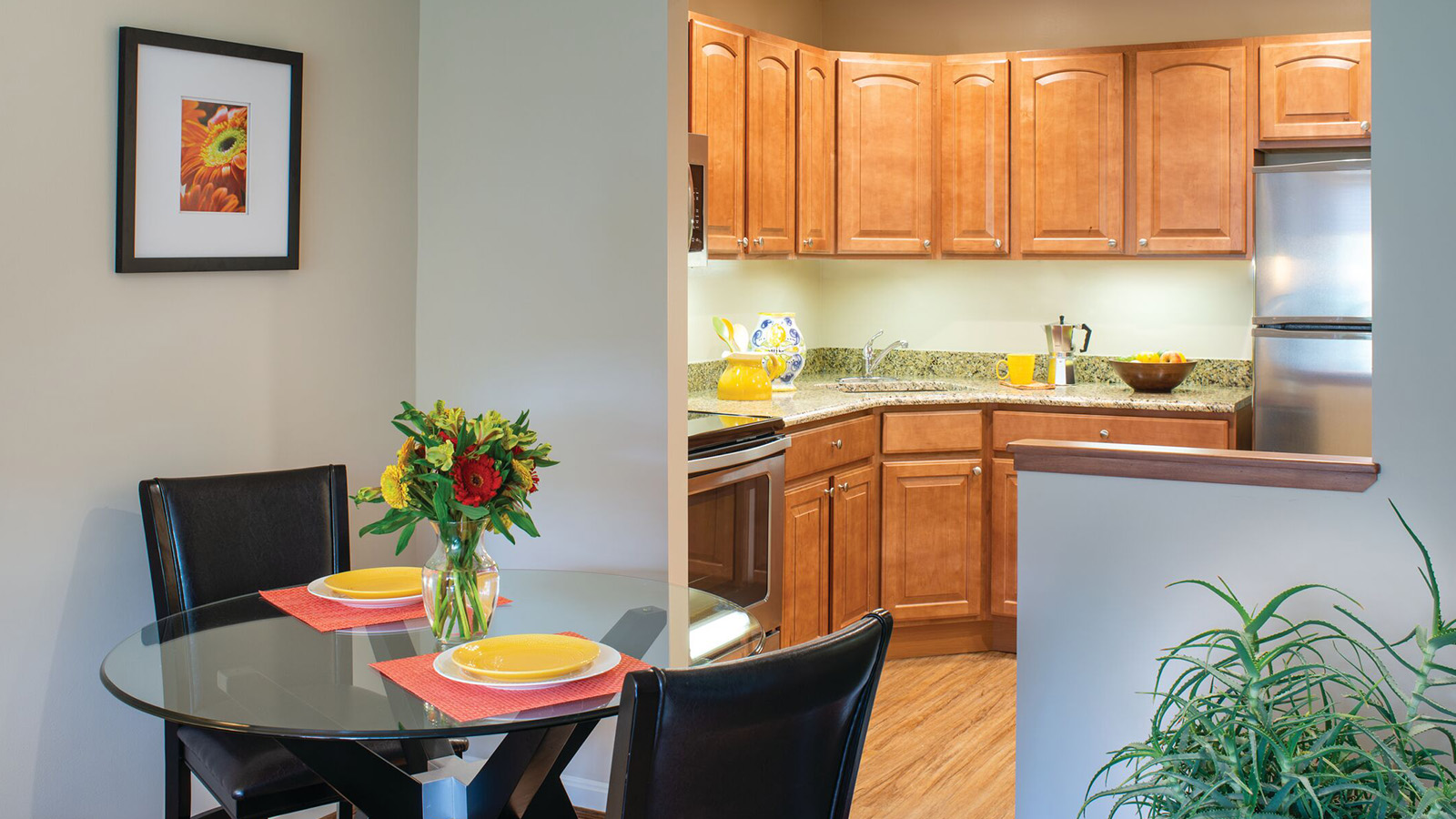 The Brighton Senior Apartments in Northern New Jersey Cedar Crest