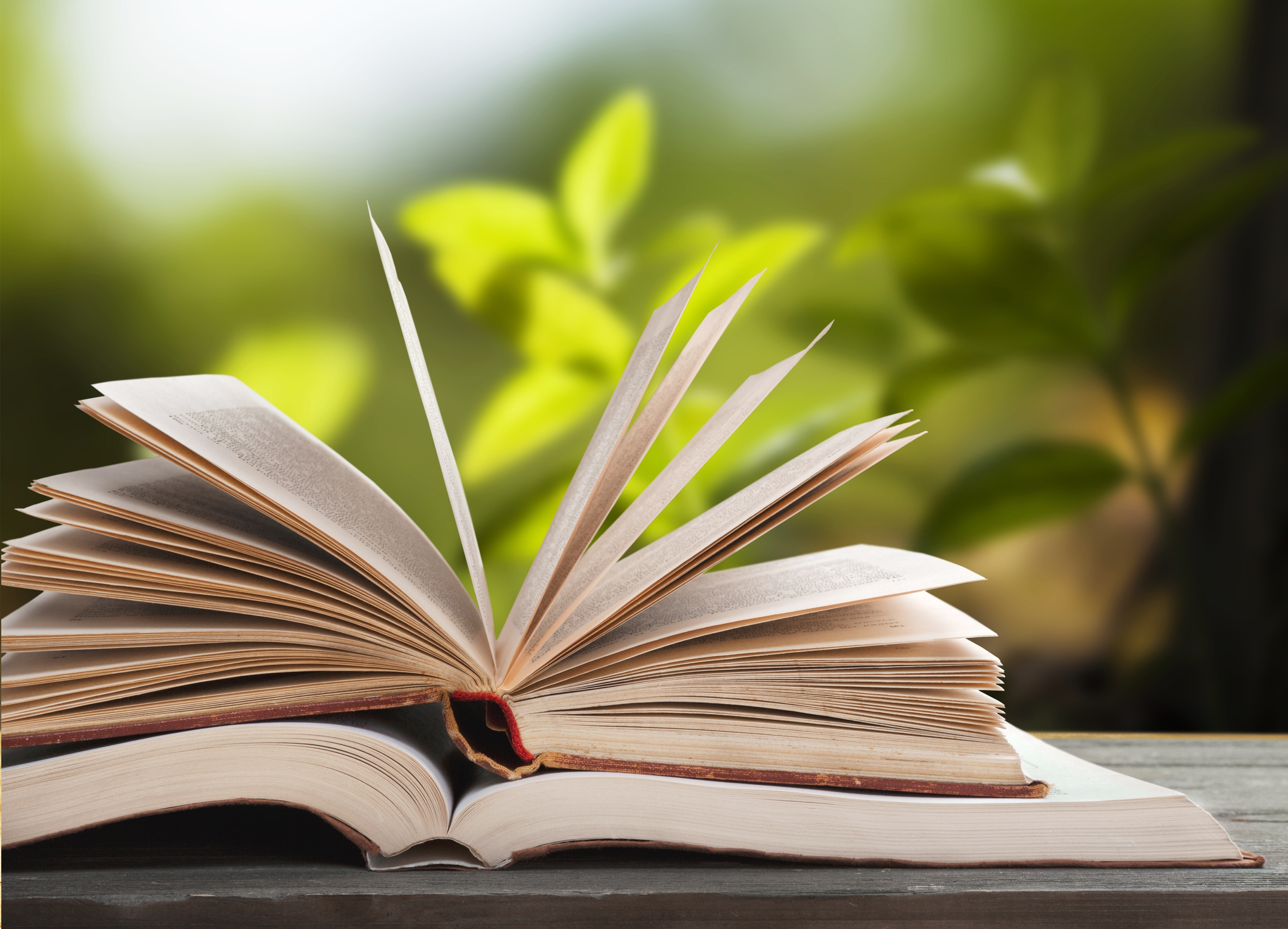 Brooksby Village author releases two books Two books sit open on a desk.