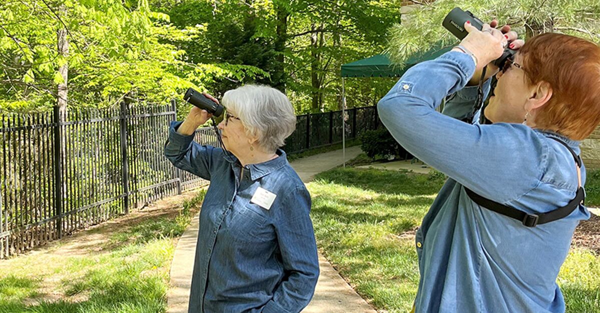 Greenspring Birdwatching