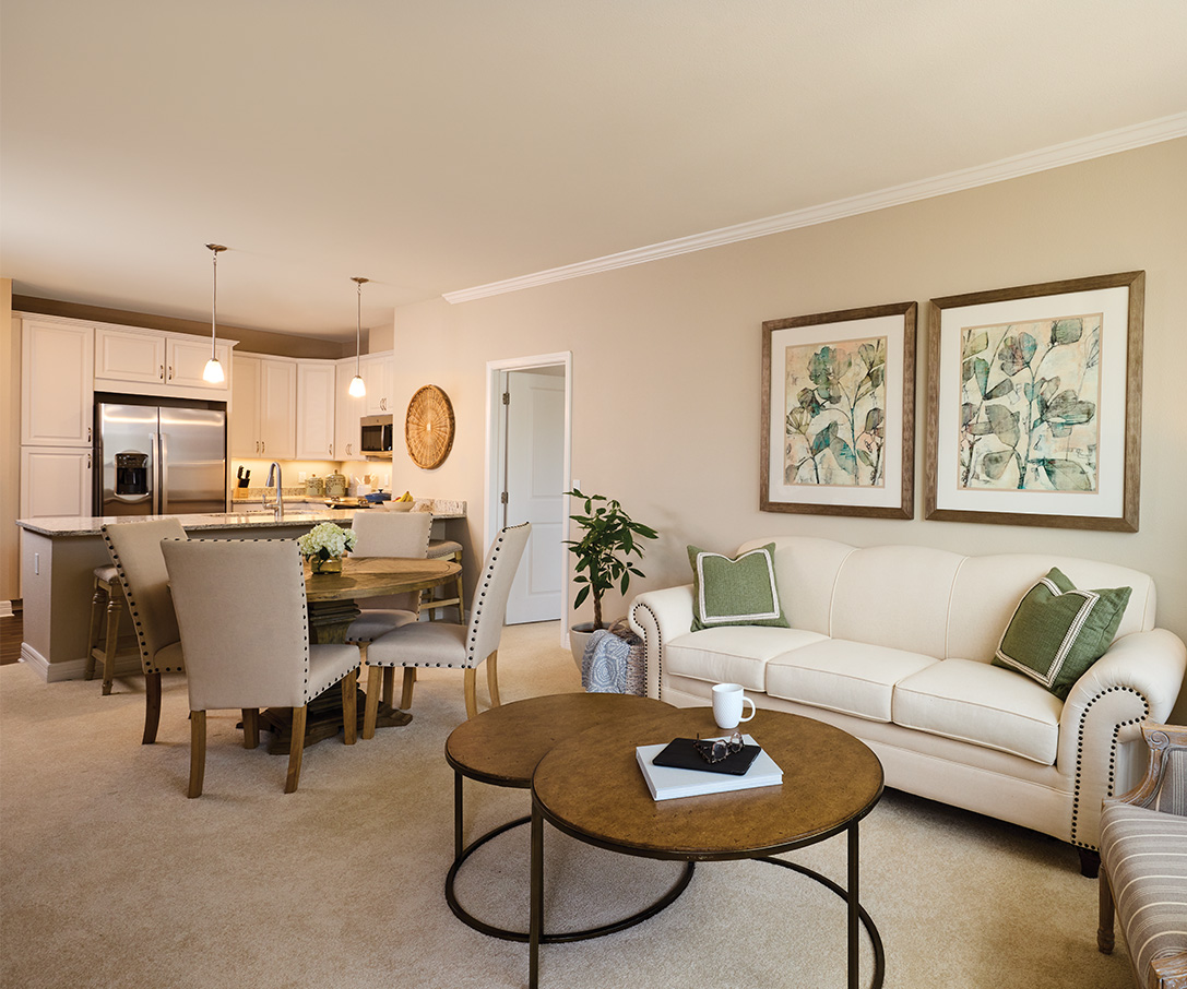 Mckinley living room area
