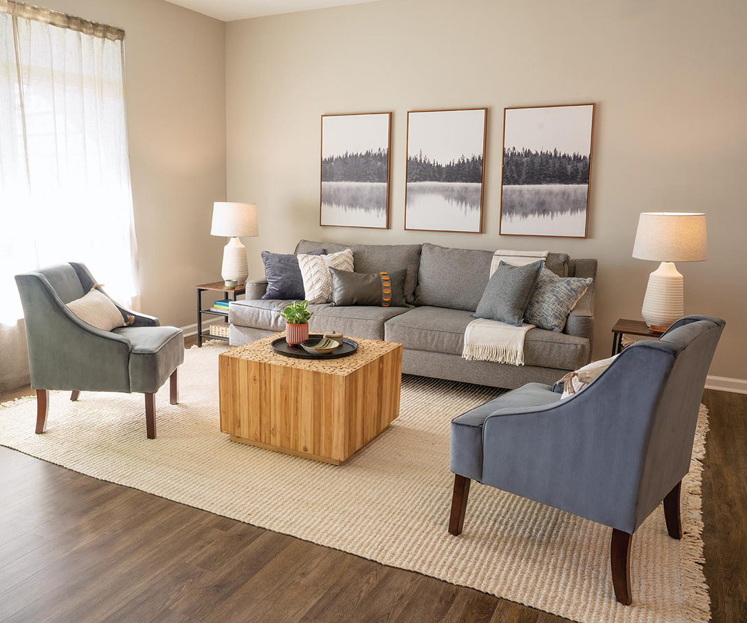 interior living room 