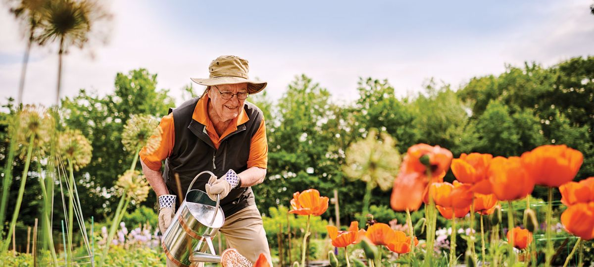 Erickson resident waters his garden.