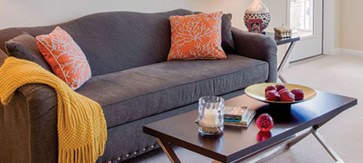 Image of the Brazos living room.