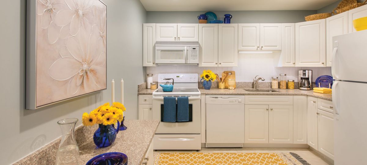 Image of the Hastings kitchen.