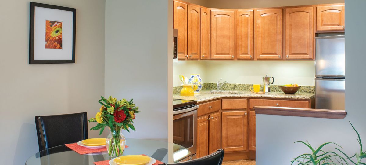 Kitchen in Brighton apartment home.