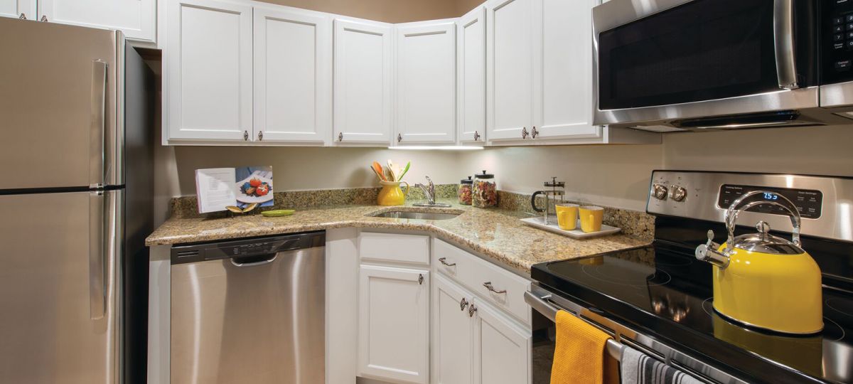 Image of the Ellicott kitchen.