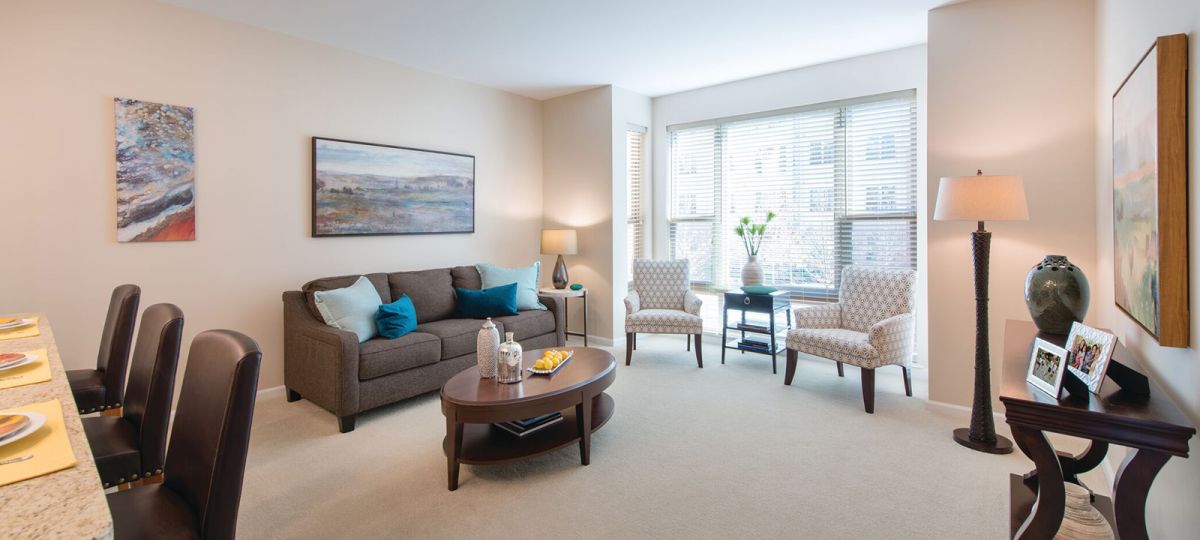 Combined living and dining area of a tastefully decorated apartment.