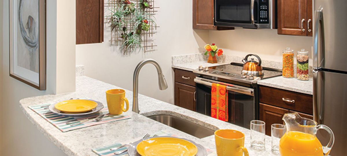 Kitchen in Brighton studio apartment home.