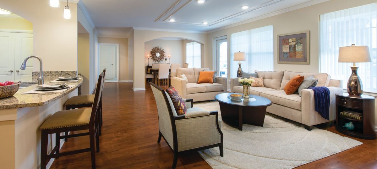 Living room in apartment.