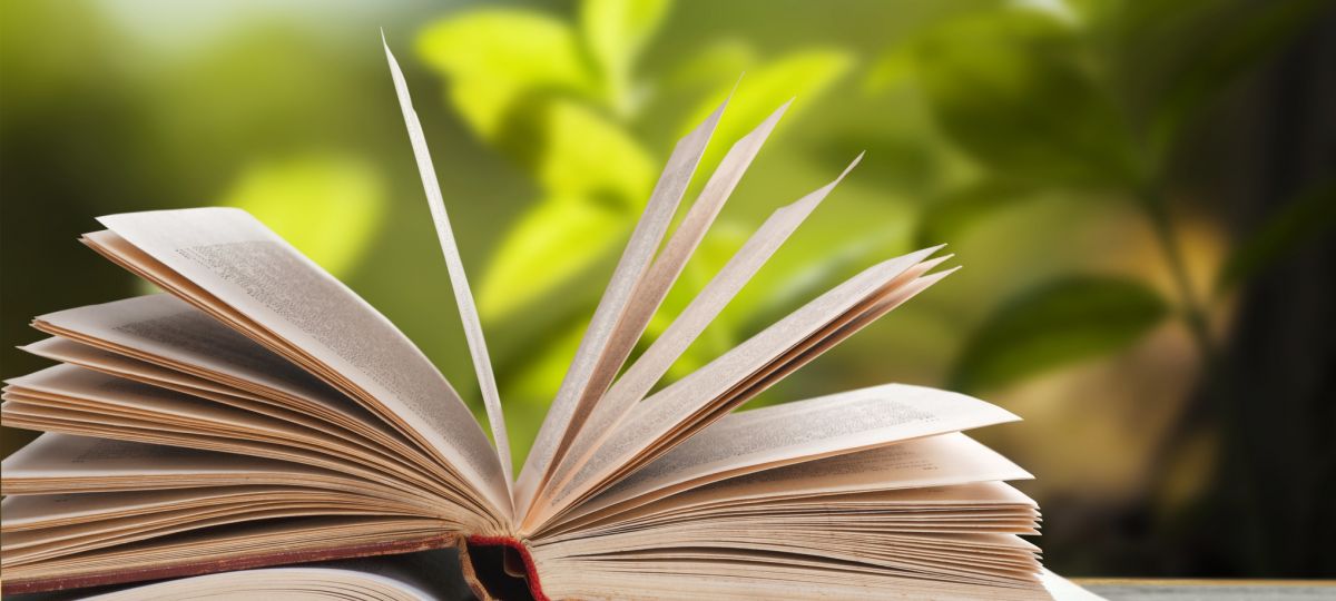 Brooksby Village author releases two books Two books sit open on a desk.