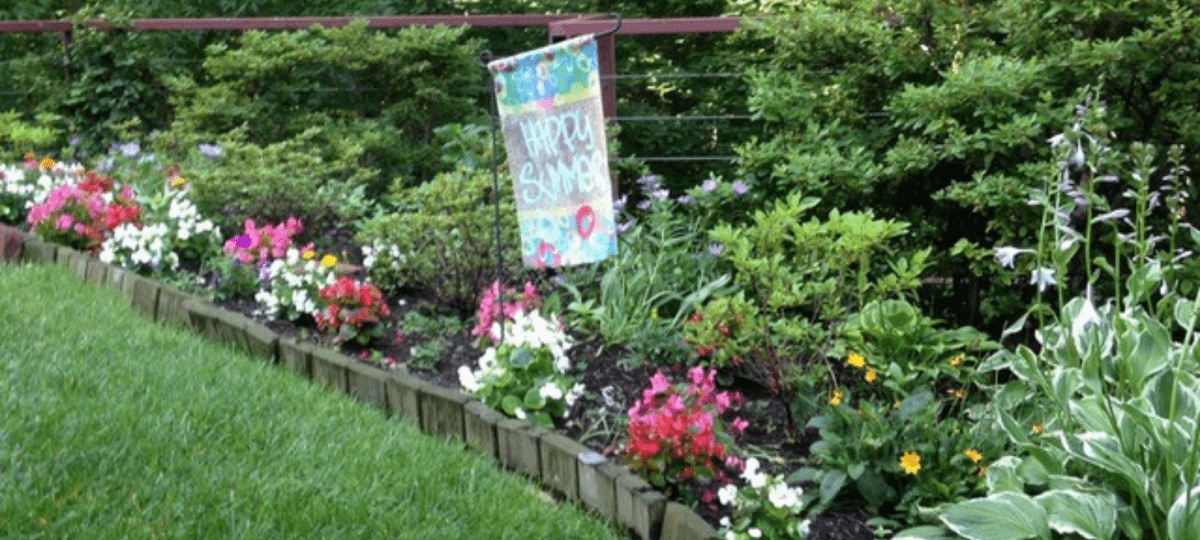 Copy of Website Image.png Betty Brown-Young's garden