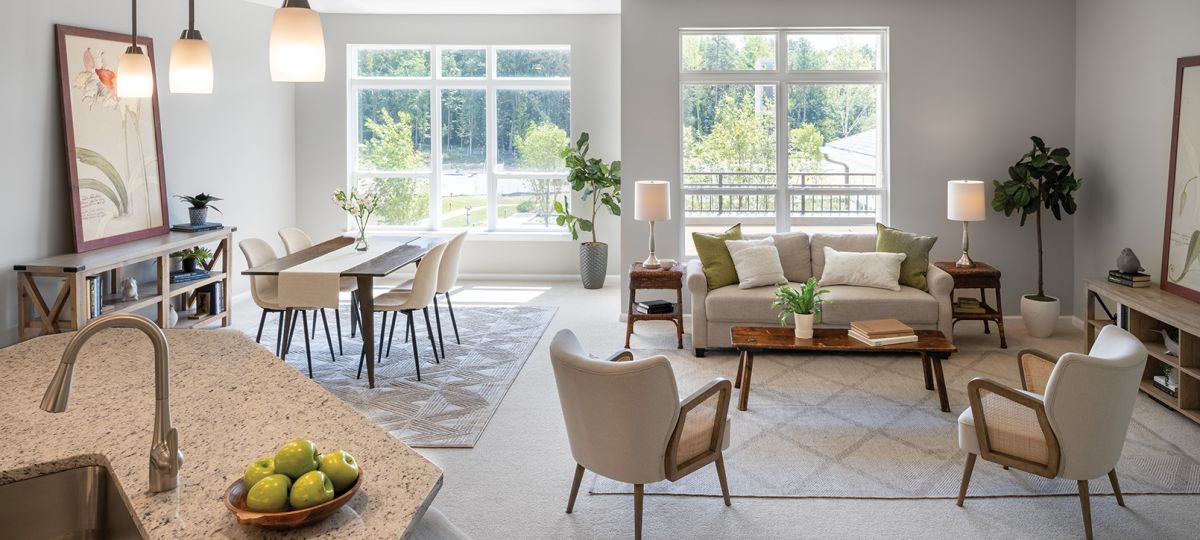 Window view of Rutherford living area