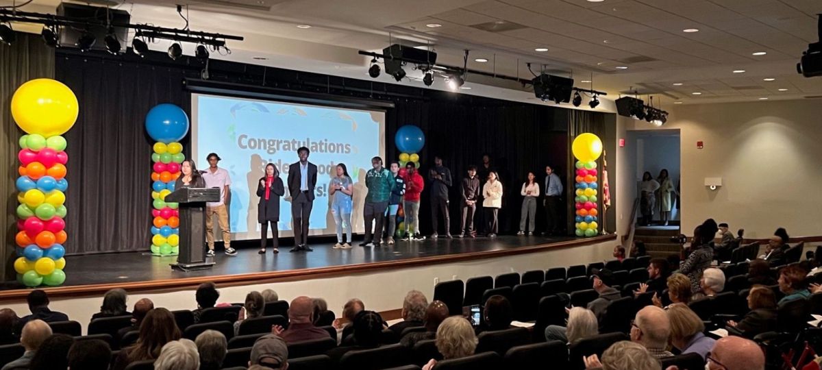RWV Scholars