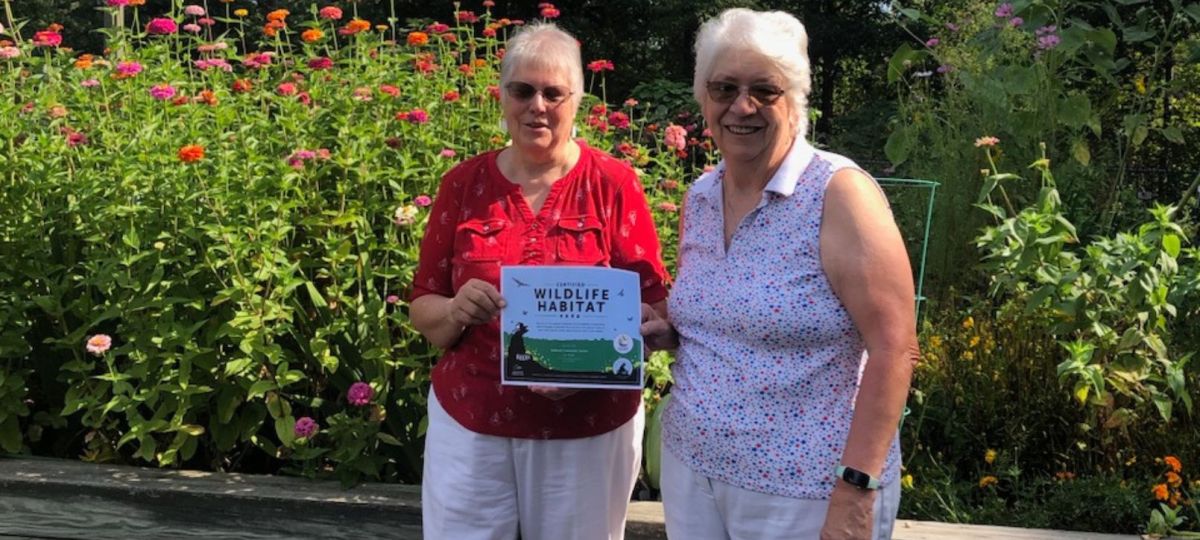 Seabrook Community Garden