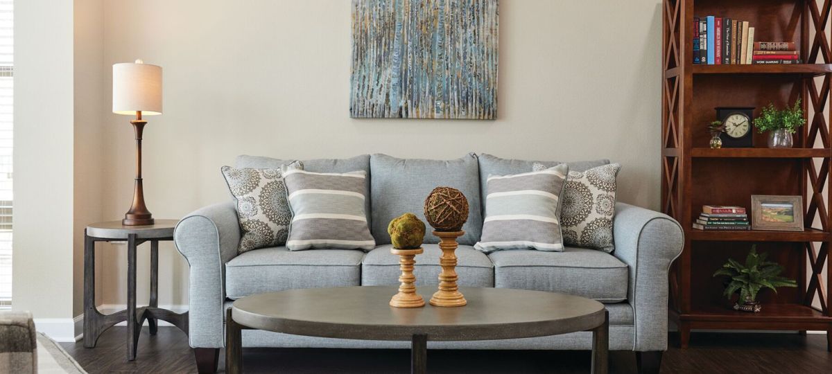 Close-up shot of a modern sofa and wall paintings and bookcase in a spacious Erickson apartment living room.