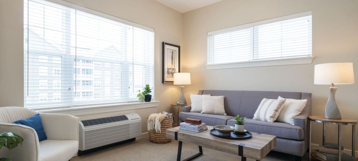 Bright living room with large windows, a sofa, armchair, coffee table, side tables with lamps, and decorative plants and books.
