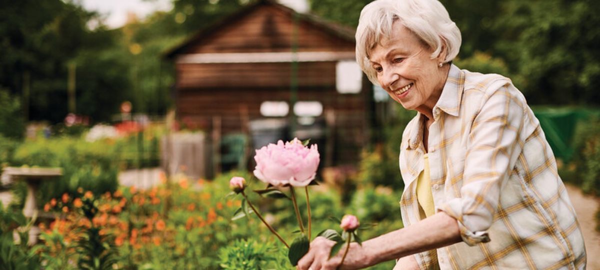 Older woman gardening and tending flowers in a lush outdoor garden, smiling while working near a wooden shed.