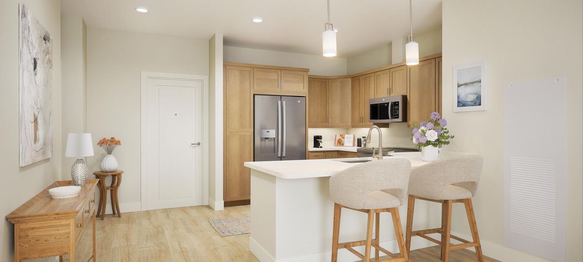 Extra Large 2BR kitchen