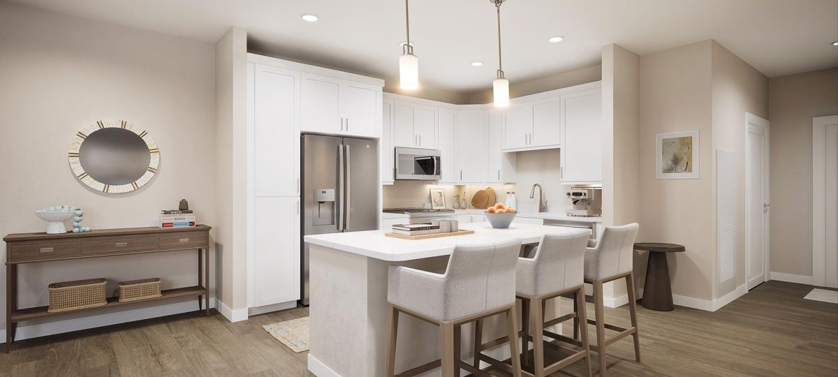 Deluxe 2BR kitchen