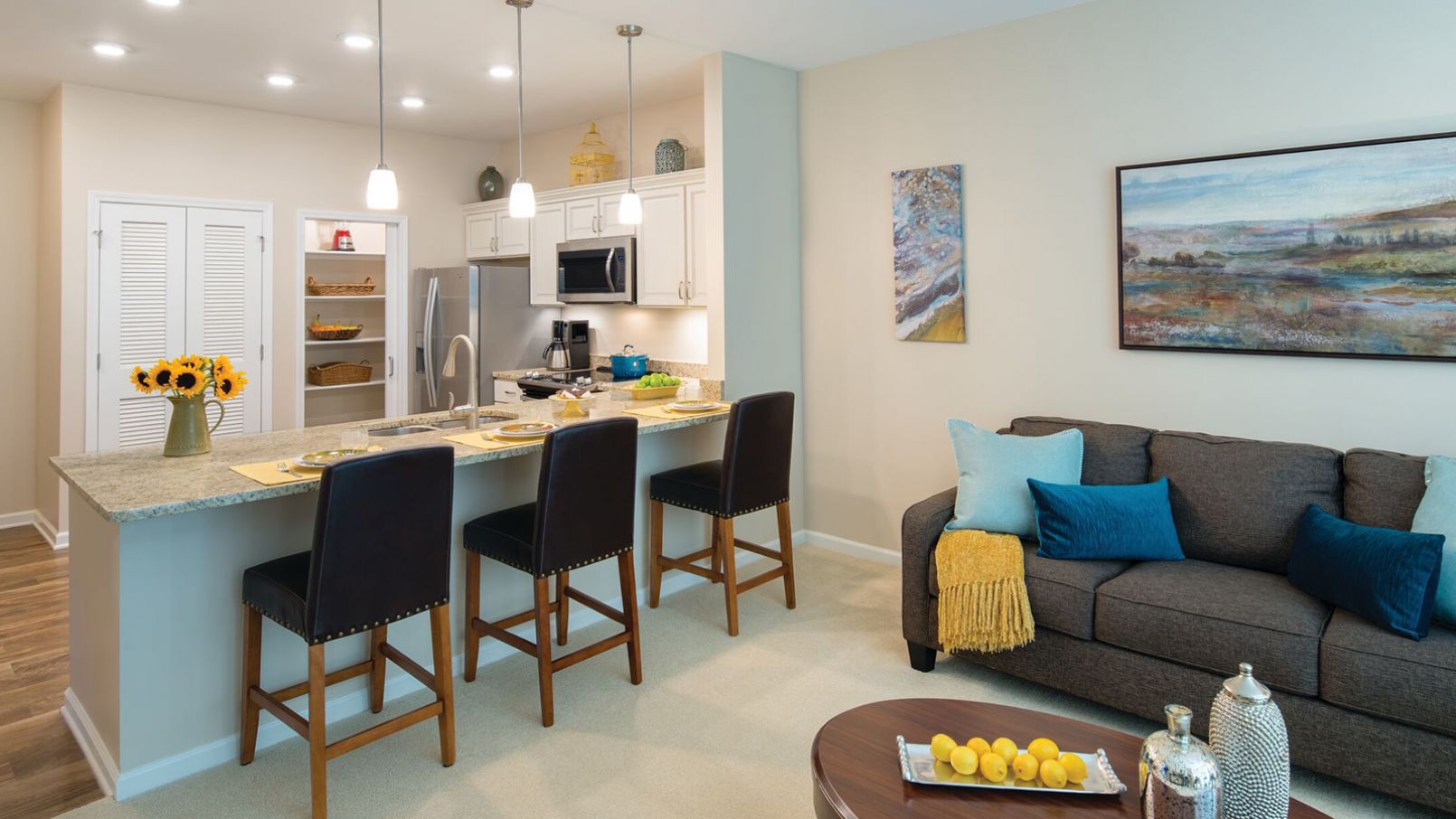 A bright modern kitchen and living area.