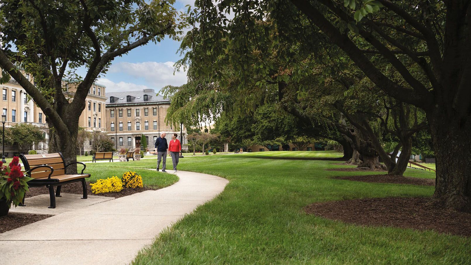 Scenic outdoor walkway surrounded by greenery at our senior living community.