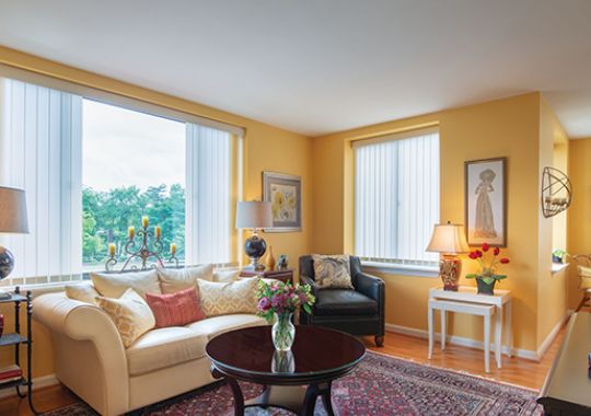 Living room in the Greenwich apartment home.