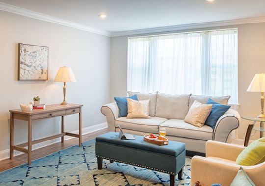 Living room in the Ellicott apartment home.