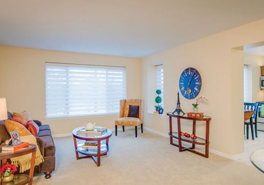 Image of the Jackson living room.