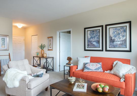 Living room in the Plymouth apartment home.