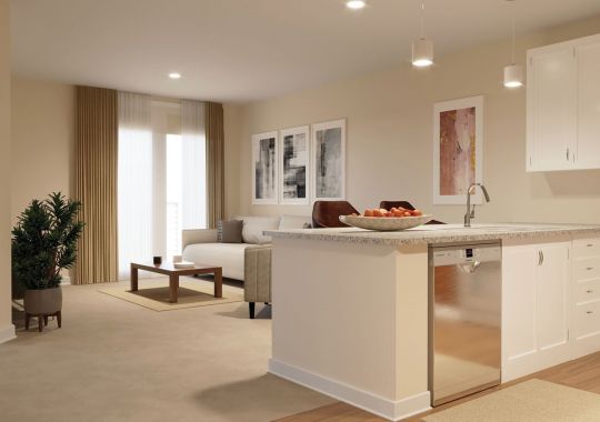 Image of the Dumont open floor plan.