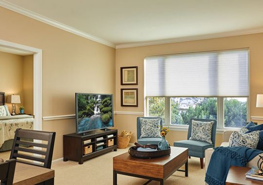 Living room in the Fairmont apartment home.