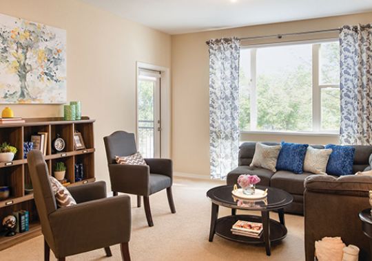 Living room in the Larkspur apartment home.