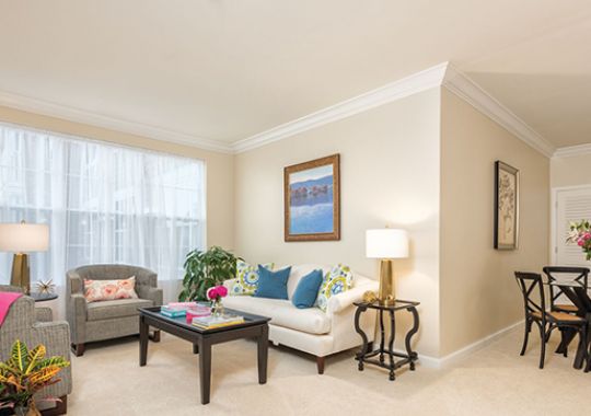 Living room in the Carlisle apartment home.