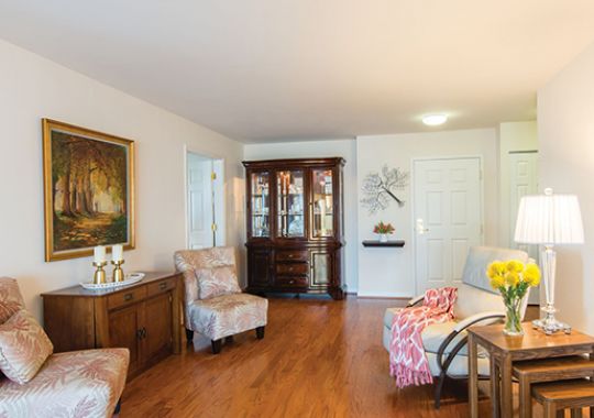 Spacious living room in the Harrison apartment.