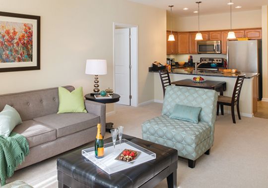 Image of the Millbrook living room.