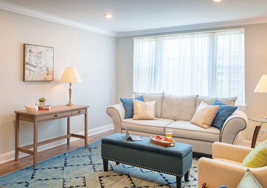 Image of the Ellicott living room.