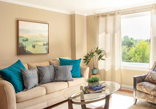 Image of the Kemah living room.