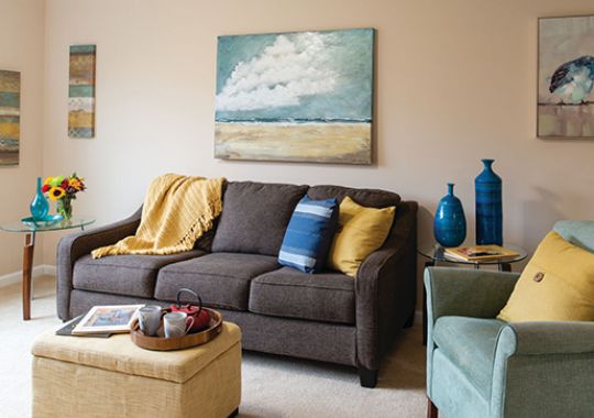Image of the Carlisle livingroom.