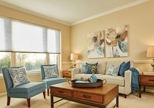 Image of the Patterson living room.