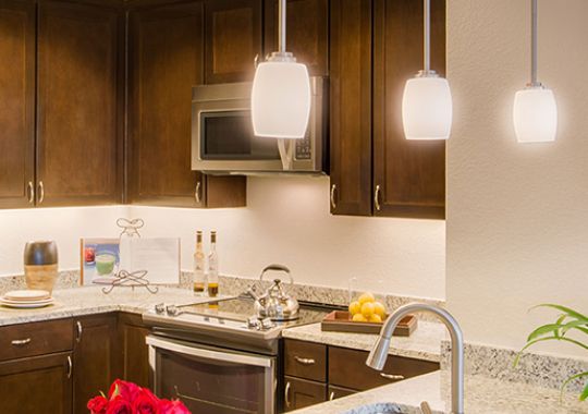 Kitchen in McKinley apartment.