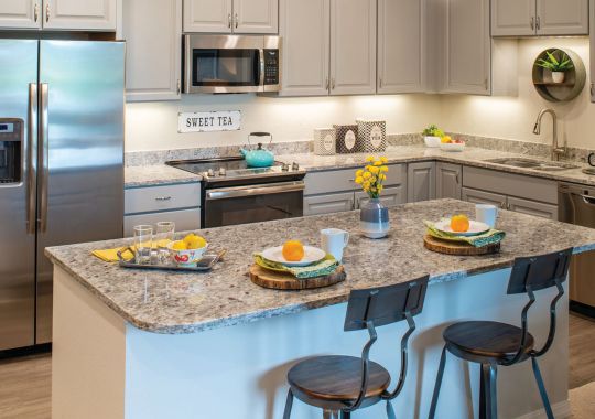Interior shot of a bright kitchen in an Erickson one-bedroom apartment.