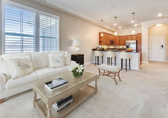 Dunhill living area
