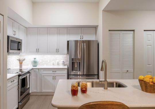 Devonshire kitchen