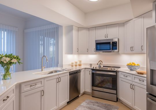 Devonshire kitchen