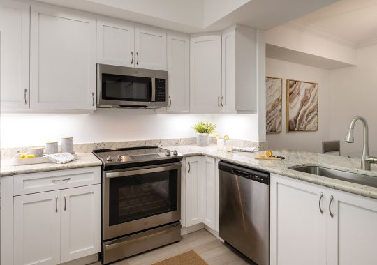 Devonshire kitchen