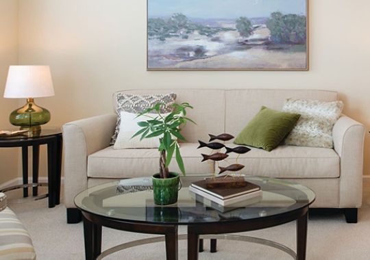 Close-up shot of a modern sofa and wall paintings in a spacious Erickson apartment living room.