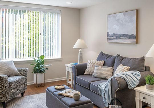 Comfortable and well-furnished living room in an Erickson Senior Living community apartment.