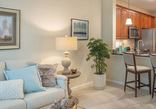 Comfortable sofa with wall paintings and a modern kitchen with stainless steel appliances and bar seating in an Erickson apartment.