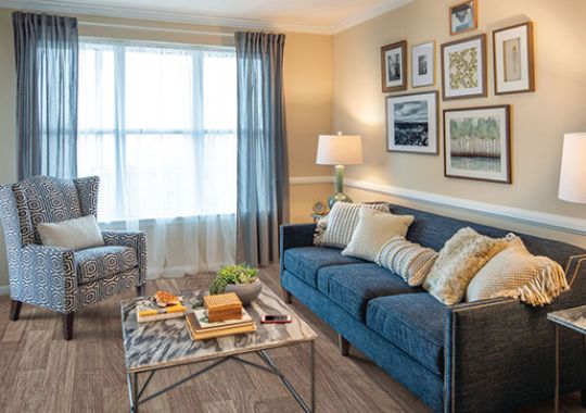 Comfortable sofa and chair with wall paintings in an Erickson apartment.