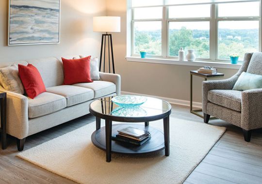 Comfortable sofa and chair with plush cushions in a stylish living room of an Erickson Senior Living apartment.